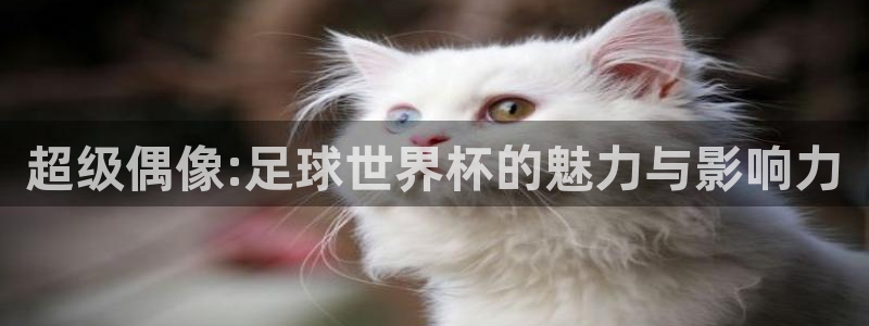 超级偶像:足球世界杯的魅力与影响力
