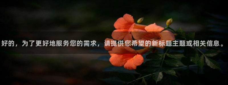 好的，为了更好地服务您的需求，请提供您希
