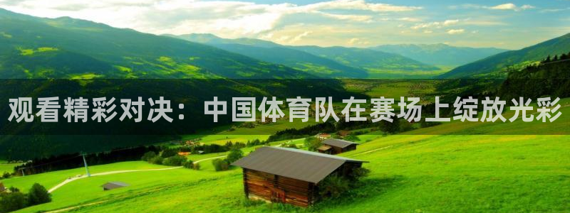 观看精彩对决：中国体育队在赛场上绽放光彩