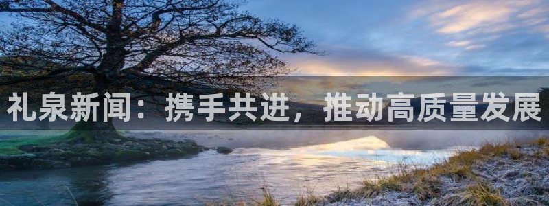 礼泉新闻：携手共进，推动高质量发展