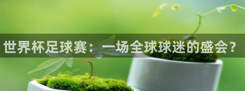 世界杯足球赛：一场全球球迷的盛会？
