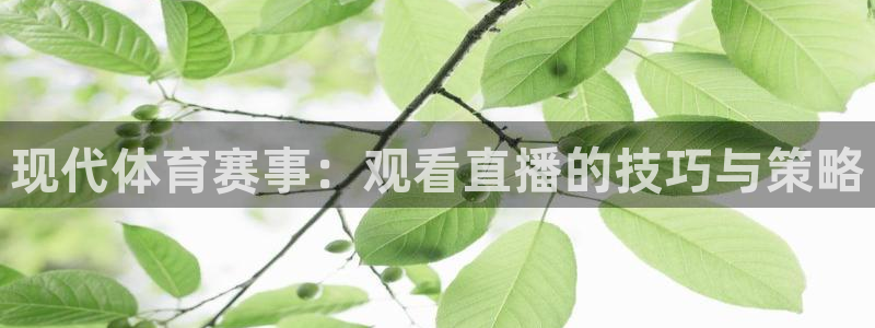 现代体育赛事：观看直播的技巧与策略