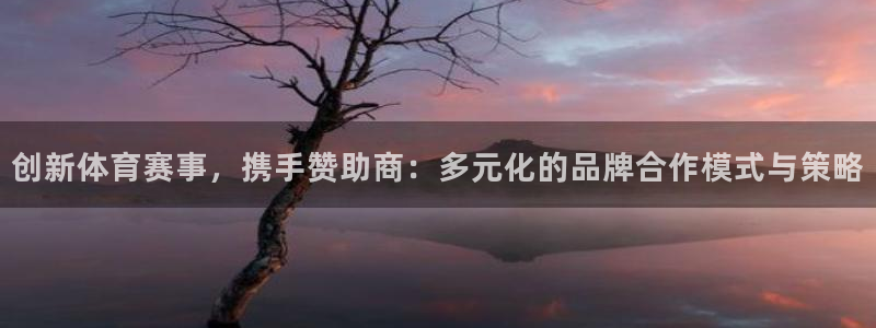 创新体育赛事，携手赞助商：多元化的品牌合